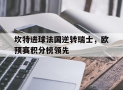 九游娱乐官网入口-关于坎特进球法国逆转瑞士，欧预赛积分榜领先的信息