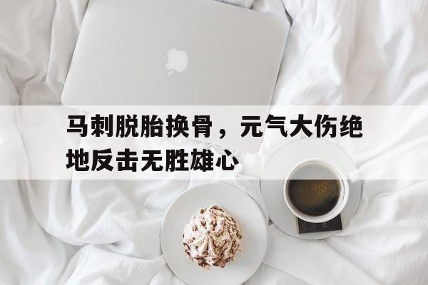 马刺脱胎换骨，元气大伤绝地反击无胜雄心的简单介绍