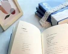 关于多特前主席尼鲍姆转型作家，新书《白宫出的信息