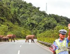 九游体育-包含亚洲一哥被扫地出门？曝沙特开3000万欧年薪签孙兴慜，热刺接受报价的词条